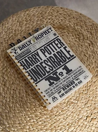 Harry Potter Daily Prophet Undesirable No. 1 Tab Journal - BoxLunch Exclusive