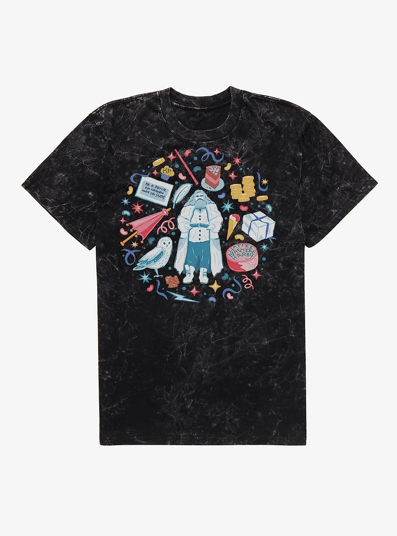 Harry Potter Hagrid Happy Birthday Mineral Wash T-Shirt