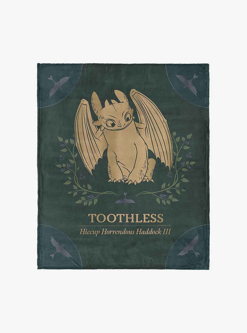 How to Train Your Dragon Hiccup and Toothless 50x60" Silk Touch Throw Blanket