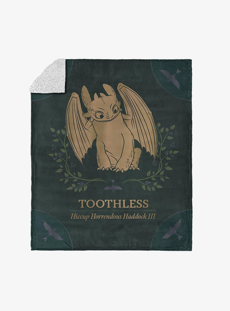 How to Train Your Dragon Hiccup and Toothless Silk Touch Sherpa Throw Blanket