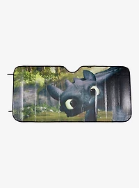 DreamWorks How To Train Your Dragon Toothless Peeking Sunshade - BoxLunch Exclusive