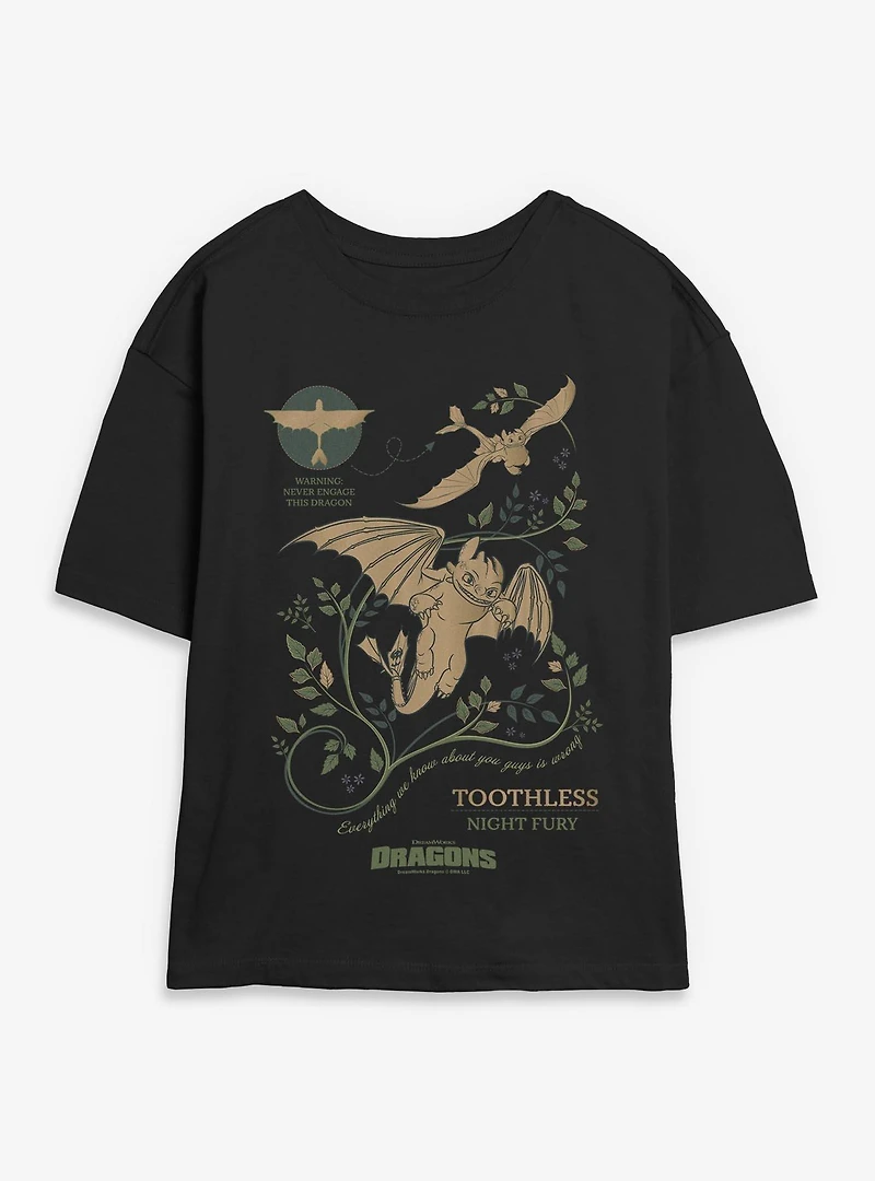How To Train Your Dragon Toothless Warning Womens Skimmer T-Shirt