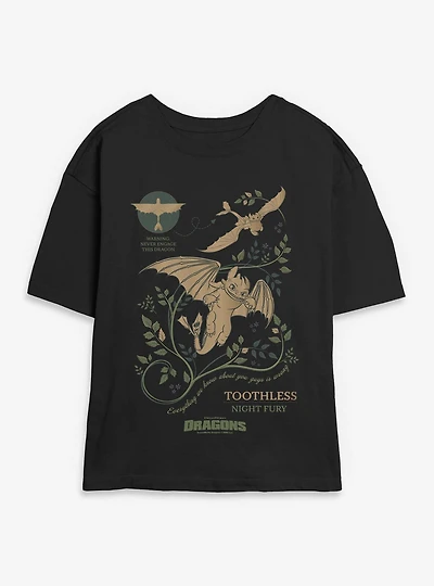 How To Train Your Dragon Toothless Warning Womens Skimmer T-Shirt