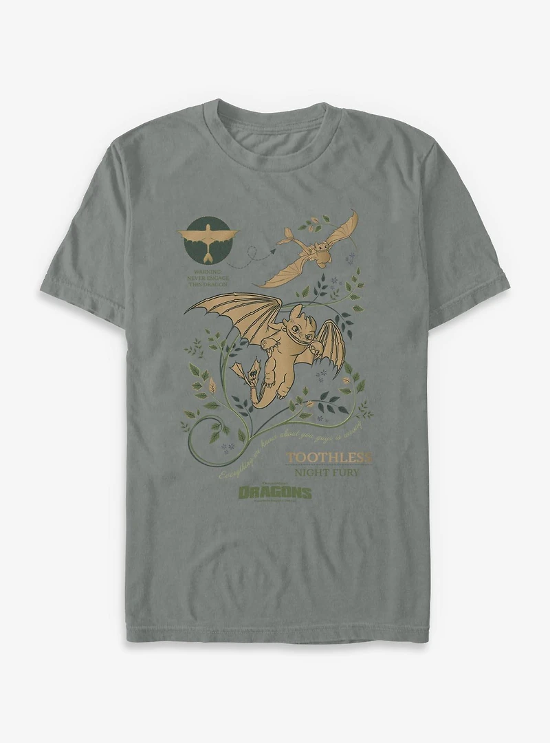 How To Train Your Dragon Toothless Warning Garment Dye T-Shirt