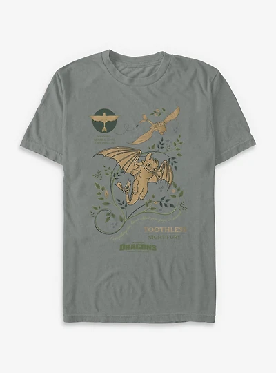How To Train Your Dragon Toothless Warning Garment Dye T-Shirt