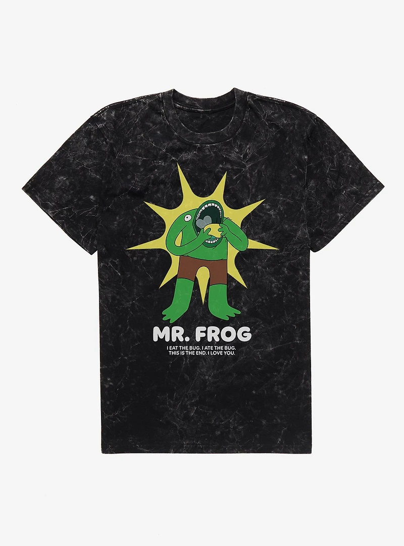 Smiling Friends Mr. Frog Mineral Wash T-Shirt