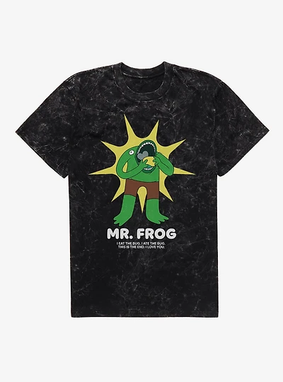 Smiling Friends Mr. Frog Mineral Wash T-Shirt