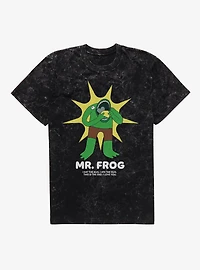 Smiling Friends Mr. Frog Mineral Wash T-Shirt
