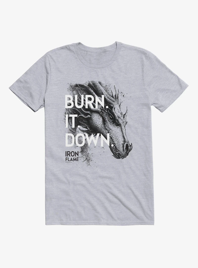 Fourth Wing Burn It Down Iron Flame T-Shirt Box Lunch Exclusive