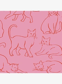 Cat Poses Pink Wallpaper