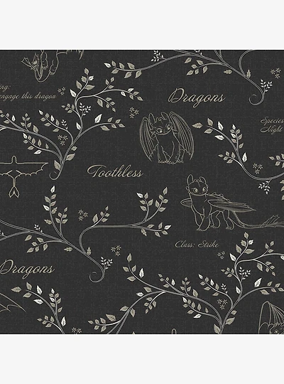 How to Train Your Dragon Toothless Radical Nature Black Wallpaper