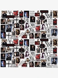 Vampire Diaries Damon Miscellaneous 100ct Sticker Pack