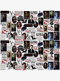 Vampire Diaries Stefan Miscellaneous 100ct Sticker Pack