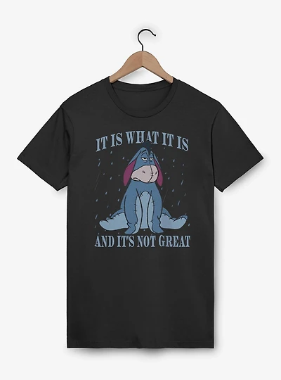 Disney Winnie The Pooh Not Great T-Shirt
