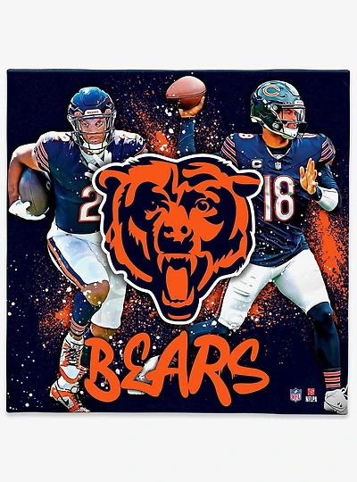 NFL Chicago Bears Canvas Wall Art