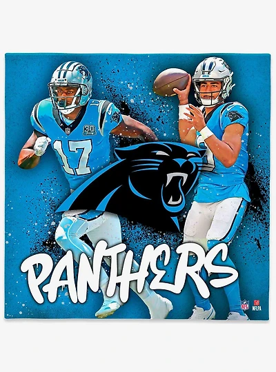 NFL Carolina Panthers Canvas Wall Art