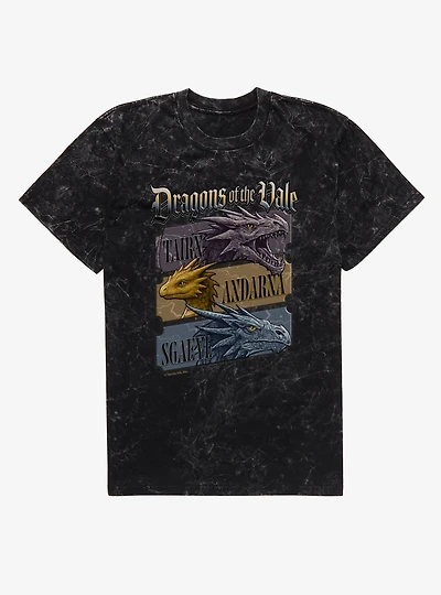 Fourth Wing The Empyrean Dragons Of Vale T-Shirt