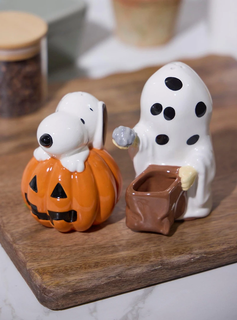 Peanuts Snoopy & Charlie Brown Halloween Salt & Pepper Shaker Set - BoxLunch Exclusive