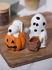Peanuts Snoopy & Charlie Brown Halloween Salt & Pepper Shaker Set - BoxLunch Exclusive