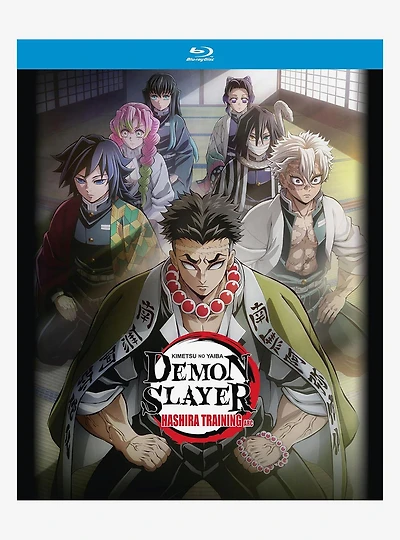 Demon Slayer: Kimetsu No Yaiba Hashira Training Arc Blu-Ray
