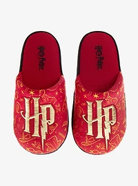 Harry Potter Hogwarts Crest Plush Non-Slip Boys Slippers