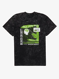 Disney Pixar Hoppers Beaver Or Bot Mineral Wash T-Shirt