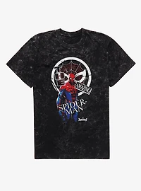 Marvel Rivals The Amazing Spider-Man Stance Mineral Wash T-Shirt