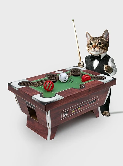 Cat Playhouse Cardboard Pool Table Cat Scratch Toy