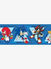 Sonic The Hedgehog Team Sonic Border Decal