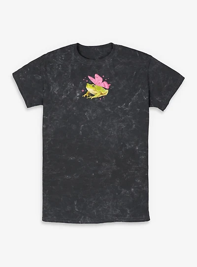 Majestic Frog With Wings Mineral Wash T-Shirt Box Lunch Exclusive