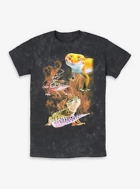 Bizarre Flaming Lizards Mineral Wash T-Shirt Box Lunch Exclusive