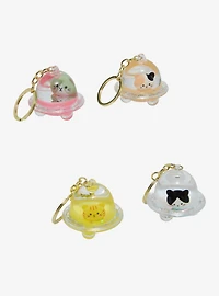 Spaceship Cats Liquid Filled Blind Assorted Keychain