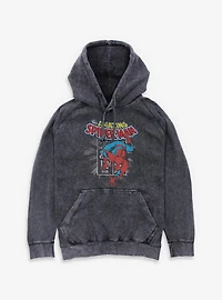 Marvel The Amazing Spiderman Stamp Mineral Wash Hoodie