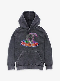 Marvel The Amazing Spiderman Visuals Mineral Wash Hoodie