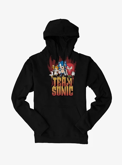Sonic The Hedgehog Hedgy Metal Team Hoodie