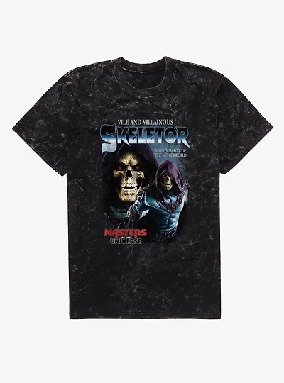 Masters Of The Universe Skeletor Master Netherworld Collage Mineral Wash T-Shirt