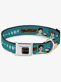 Haikyu!! Iwaizumi and Oikawa Control the Court Logo Blue Seatbelt Buckle Dog Collar