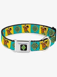 Scooby-Doo! Pose and Dog Tag Blocks Blue Seatbelt Buckle Collar