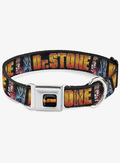 Dr. Stone Title and Ibara Senku Split Pose Black Seatbelt Buckle Dog Collar