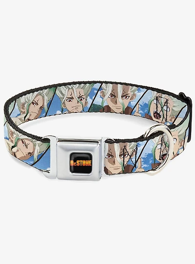 Dr. Stone Senku Ishigami Expression Blocks Blues Seatbelt Buckle Dog Collar