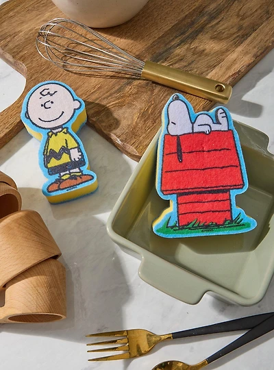 Peanuts Snoopy & Charlie Brown Sponge Set