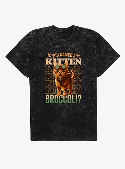 The Empyrean Fourth Wing Name A Kitten Broccoli Mineral Wash T-Shirt