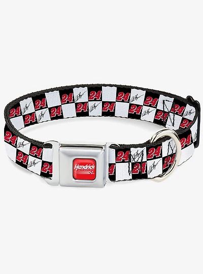 Hendrick Motorsports William Byron Autograph and #24 Checker Logo Seatbelt Buckle Dog Collar