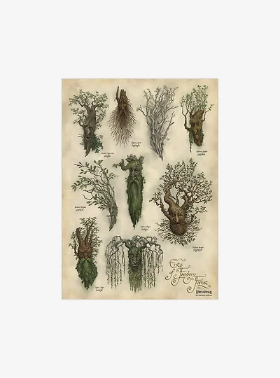 The Lord of the Rings Ent's of Fangorn Forest Art Print