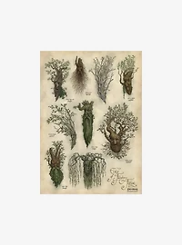 The Lord of the Rings Ent's of Fangorn Forest Art Print