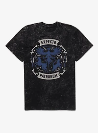 Harry Potter Expecto Patronum Mineral Wash T-Shirt