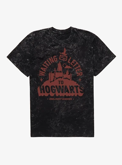 Harry Potter Waiting On My Letter To Hogwarts Mineral Wash T-Shirt