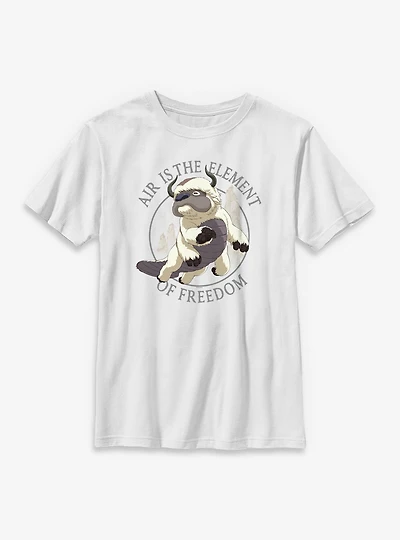 Avatar: The Last Airbender Avatar Appa Focus Air Freedom Youth T-Shirt