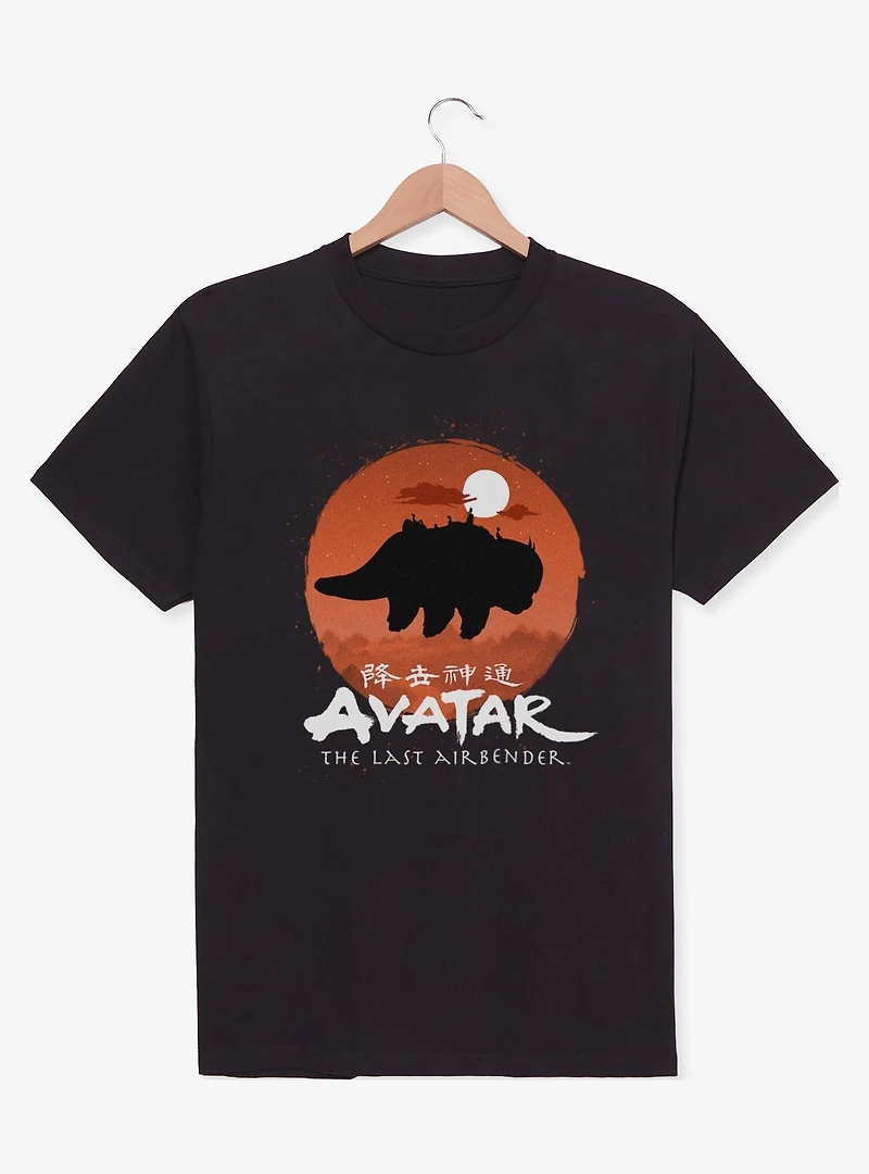 Avatar: The Last Airbender Avatar Team Haunt T-Shirt