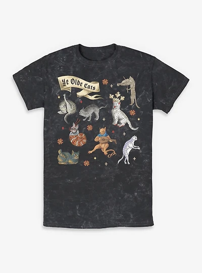 Ye Olde Cats Mineral Wash T-Shirt BoxLunch Exclusive